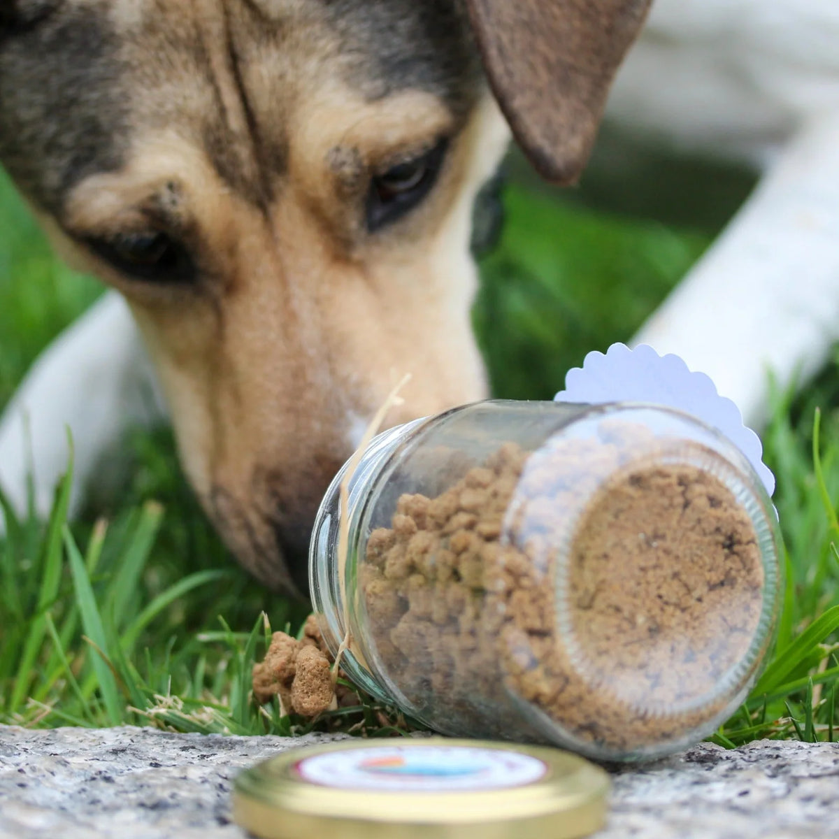 Crumble de pollo deshidratado para perros y gatos