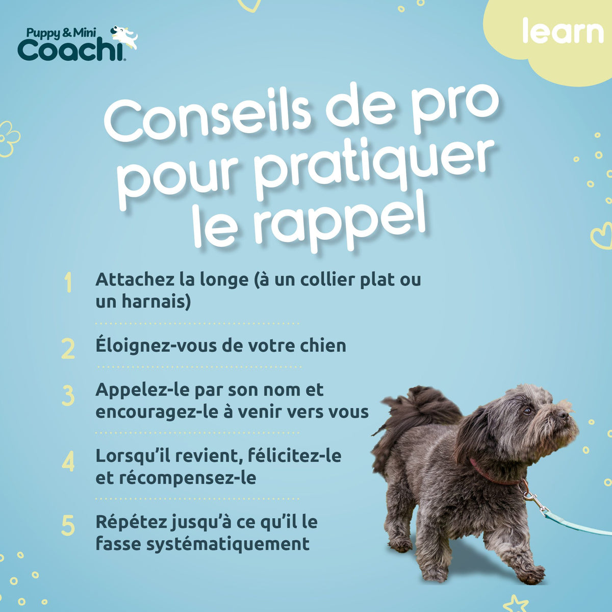 Trela comprida impermeável para cachorros e cães de porte pequeno