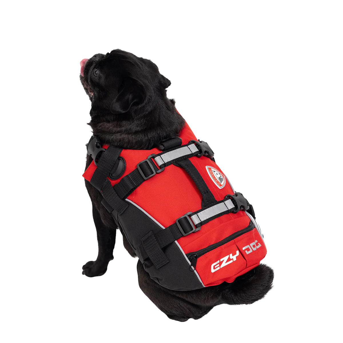 Chaleco salvavidas para perros