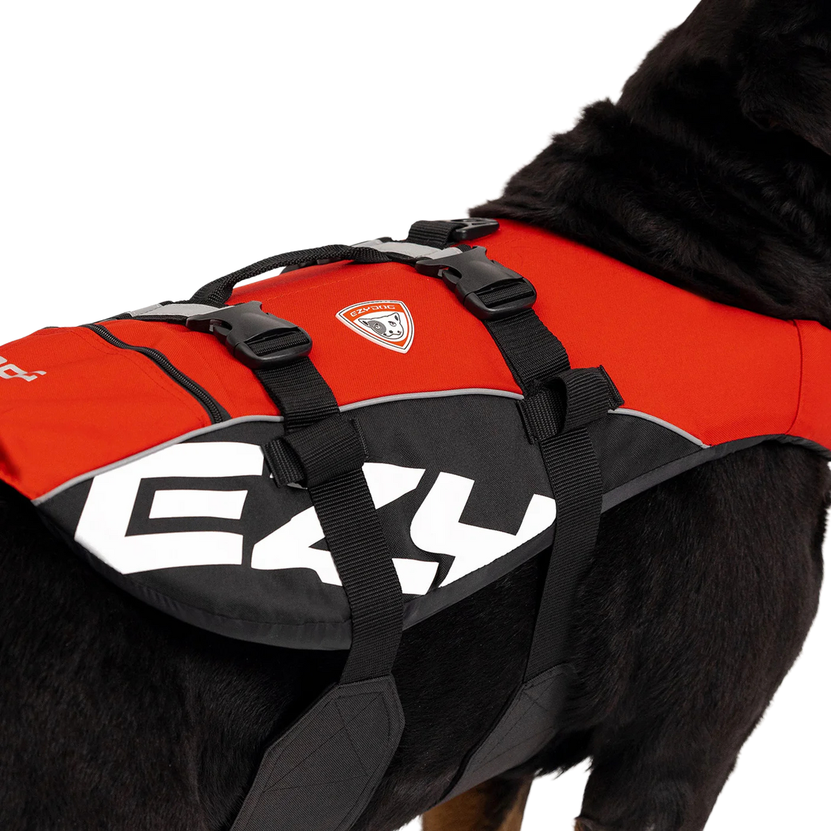 Chaleco salvavidas para perros