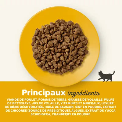 Croquetas de pollo para gatos sénior