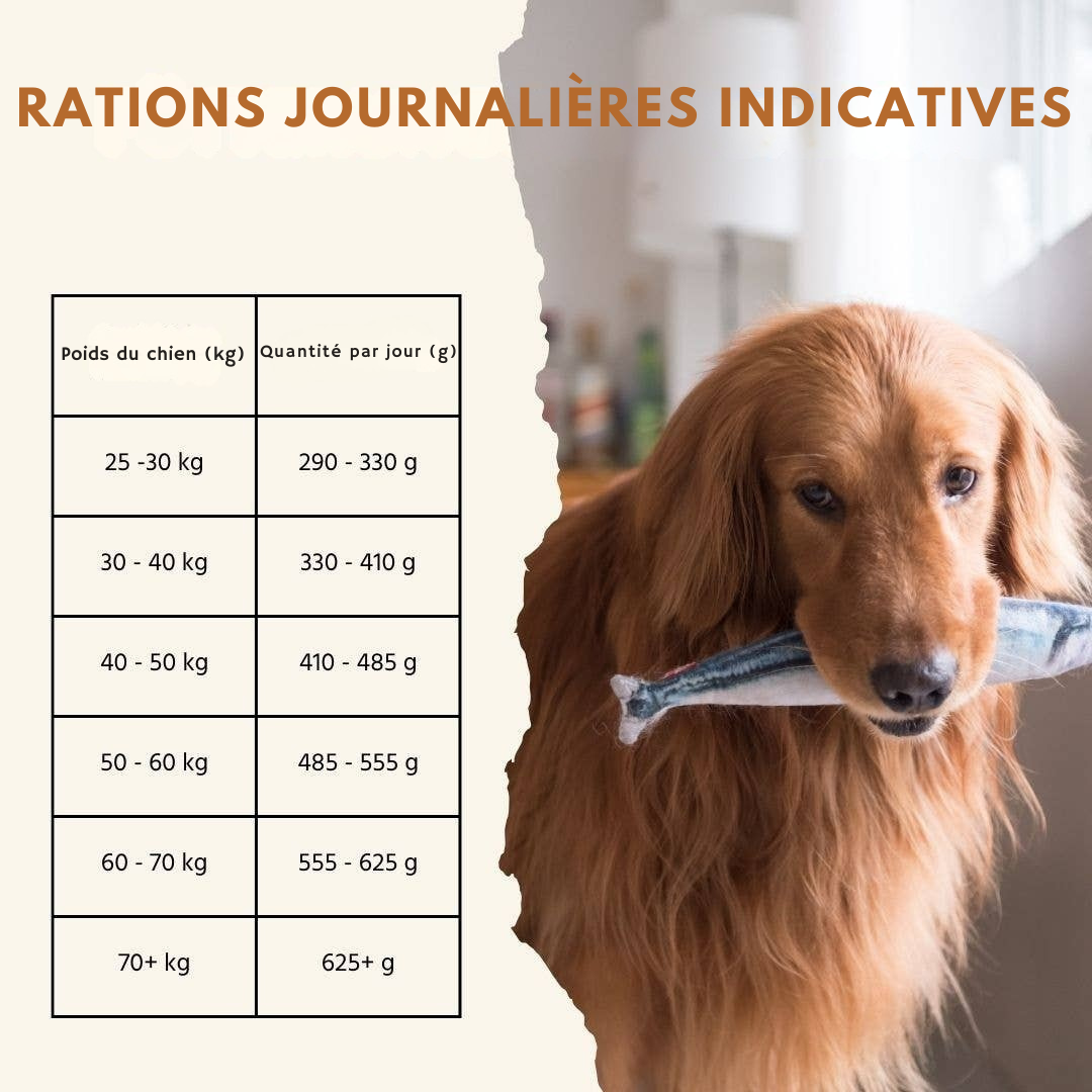 Croquetas de salmón y trucha para perros adultos