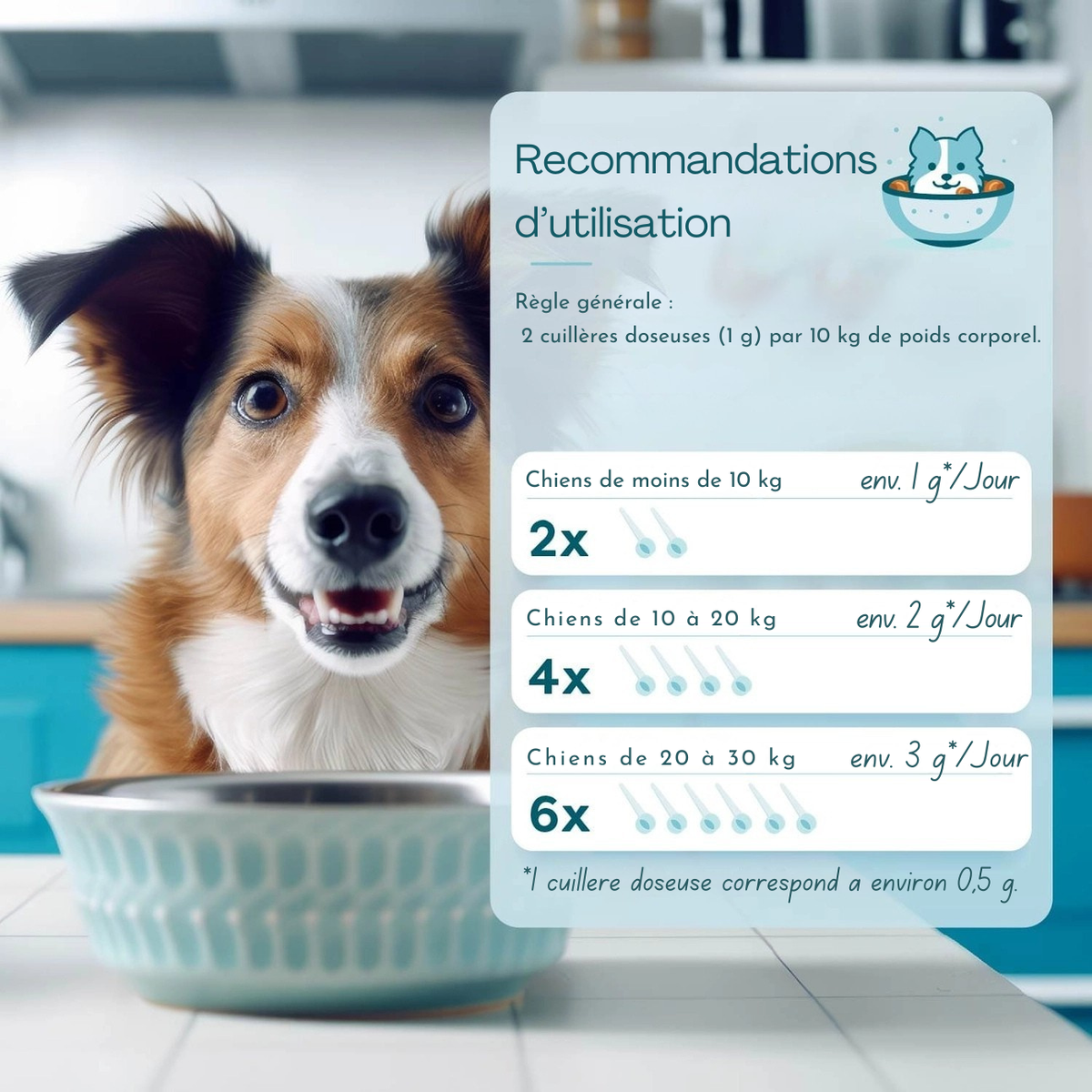 Pflanzliches Darmpulver für Hunde