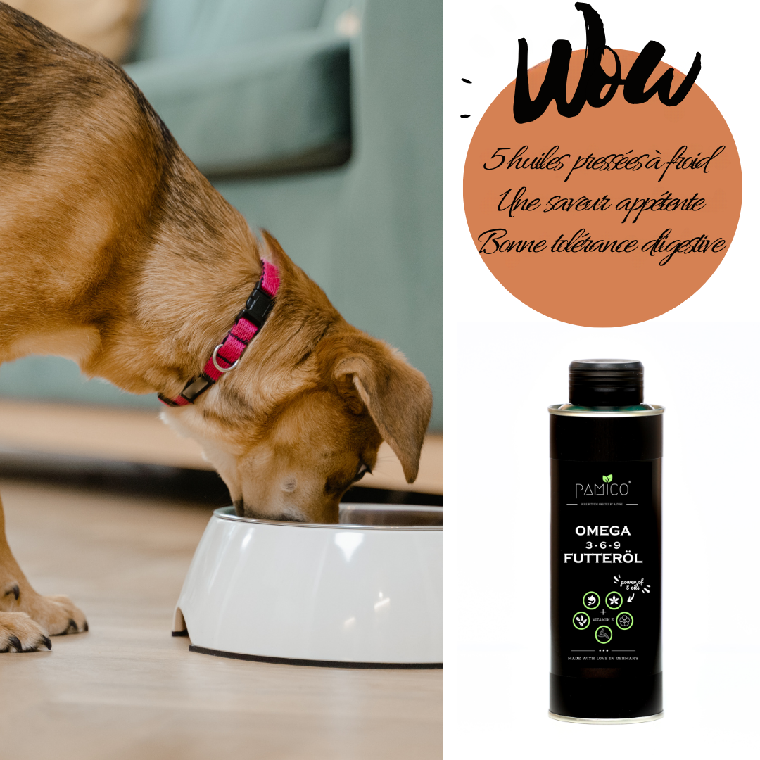 Aceite alimenticio omega 3-6-9 y vitamina E para perros