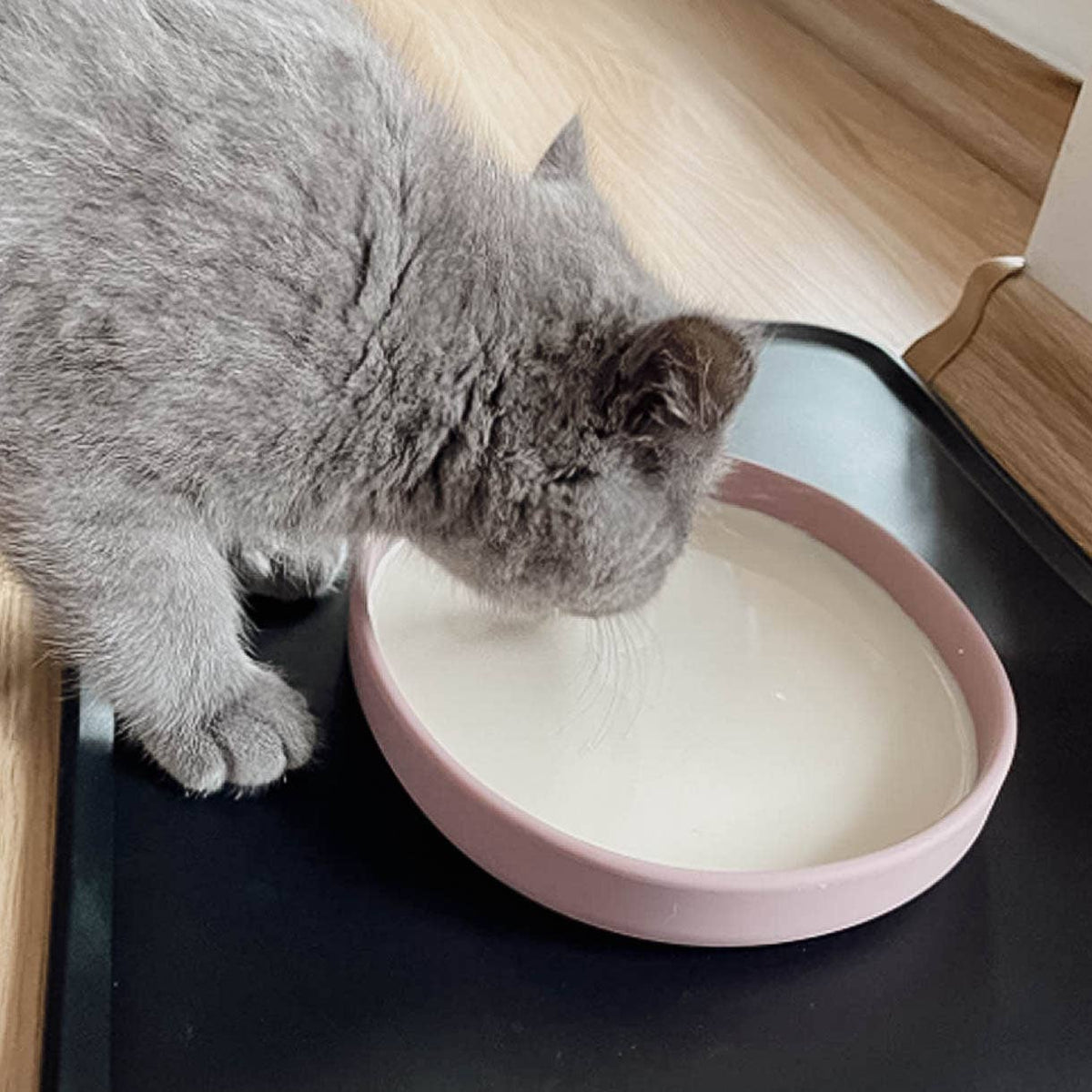 Tigela rasa de silicone