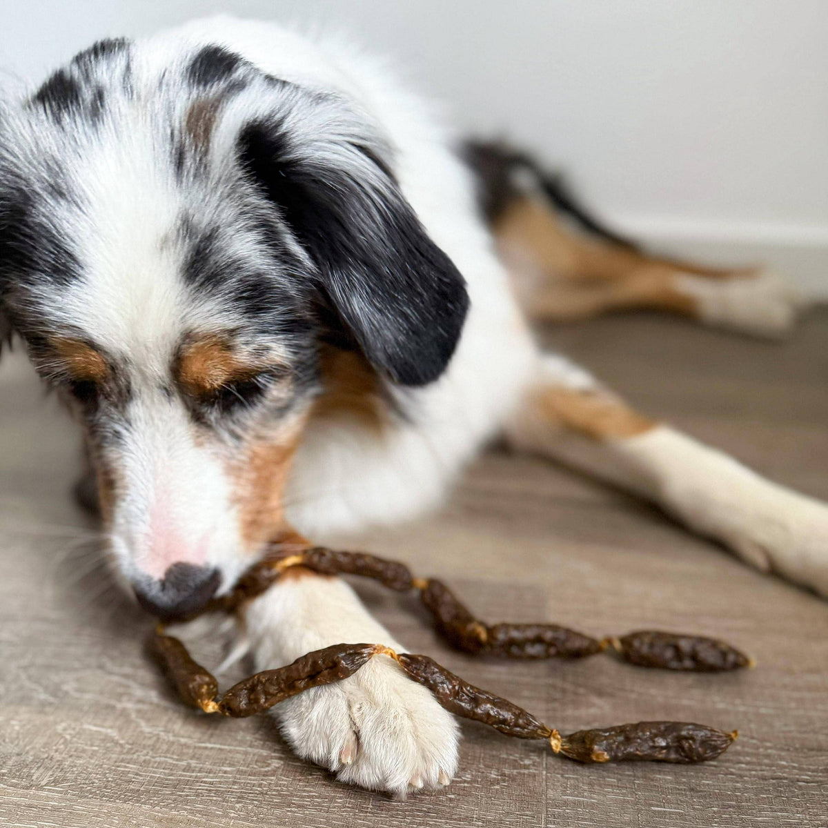 Salsicce di manzo essiccate per cani