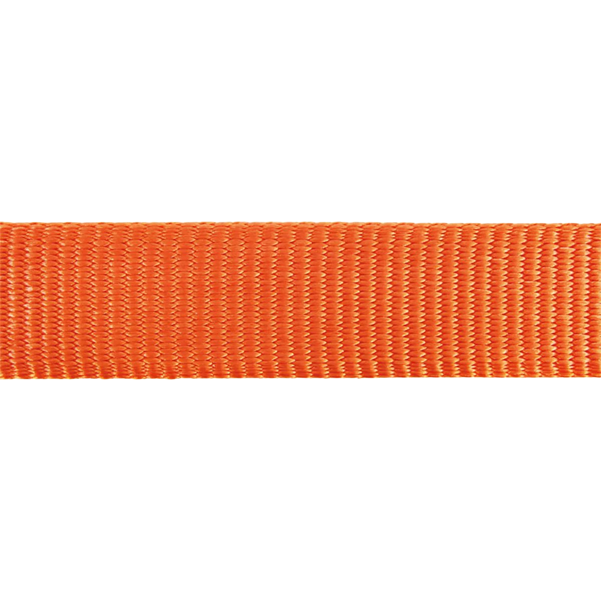 Collar ajustable de nailon para perros