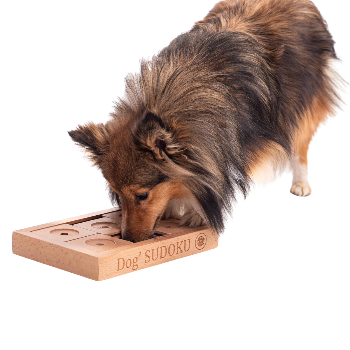 Juego de ingenio Sudoku avanzado de madera para perros pequeños y gatos