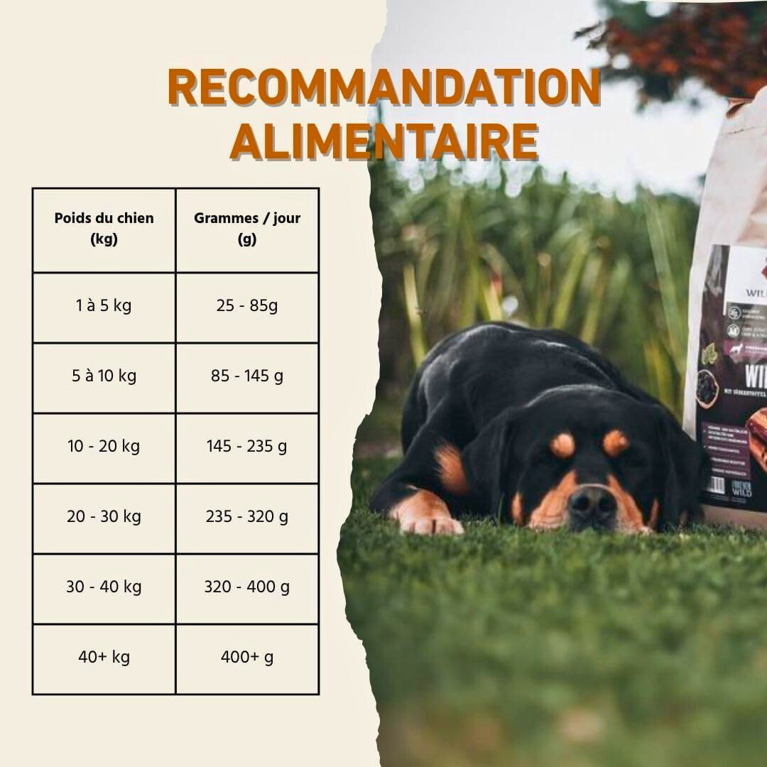 Crocchette al manzo Angus per cani adulti