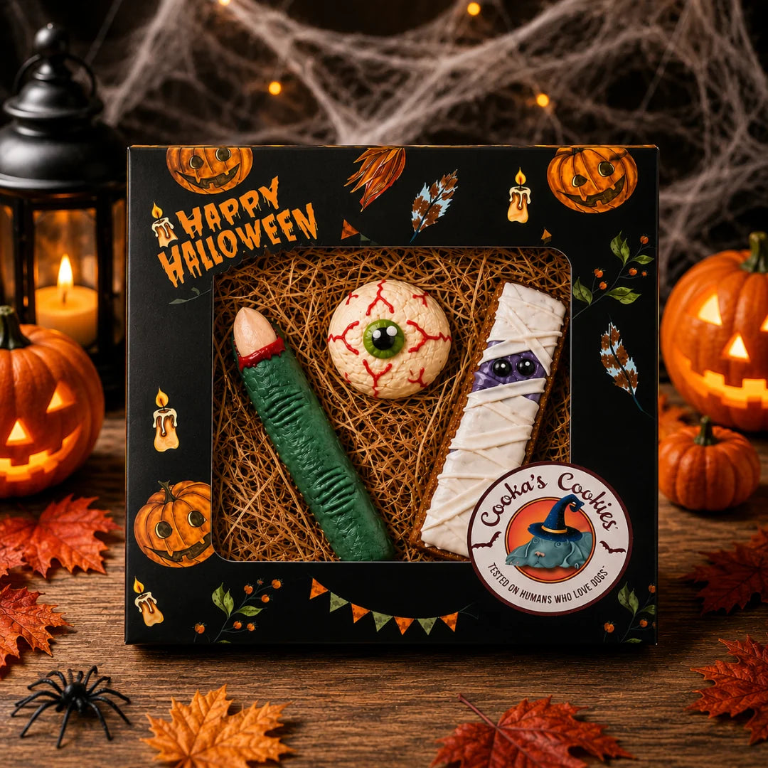 Caja de galletas de Halloween para perros