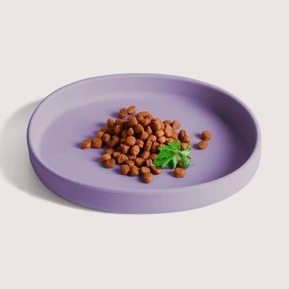 Tigela rasa de silicone