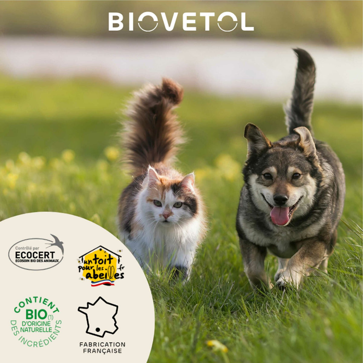 Loción limpiadora ecológica para las orejas de perros y gatos