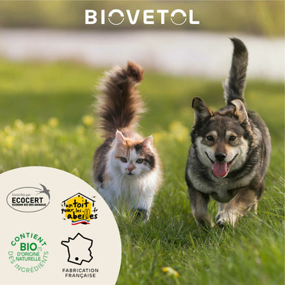 Organic cleansing lotion for dog and cat ears