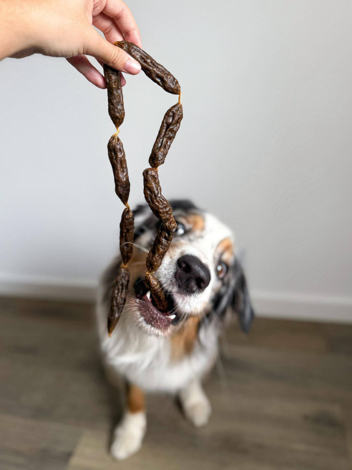 Salsichas secas de peru para cães