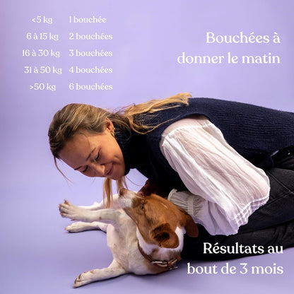 Suplemento alimentar anti-stress para cães
