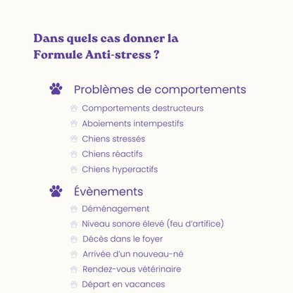 Suplemento alimentar anti-stress para cães