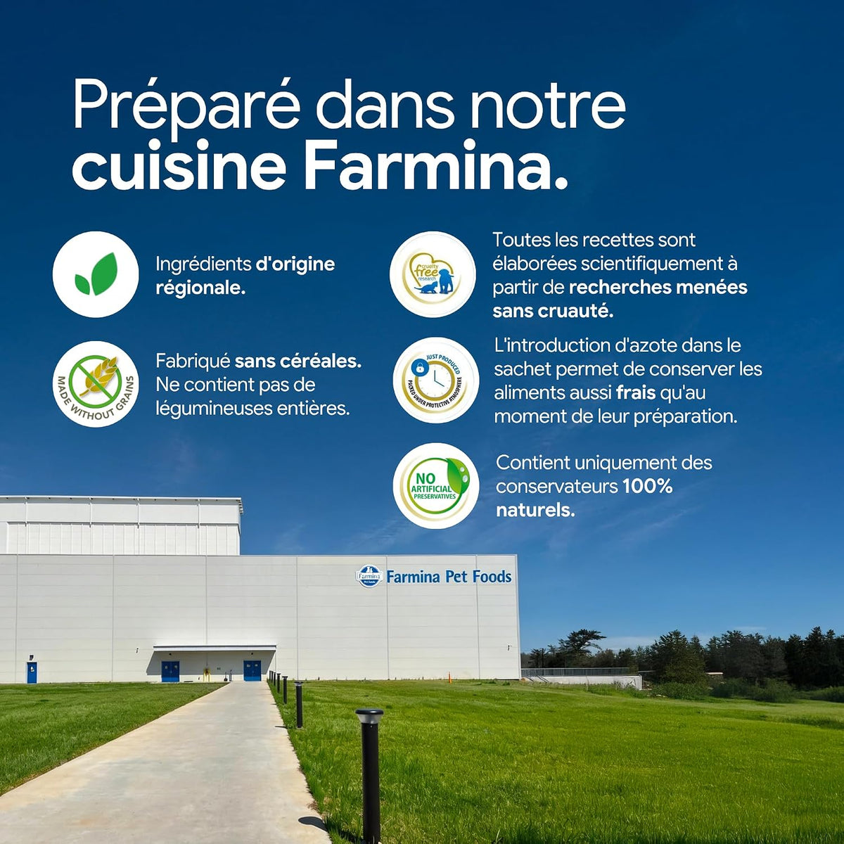 Crocchette di quaglia e quinoa per cani adulti di piccola taglia