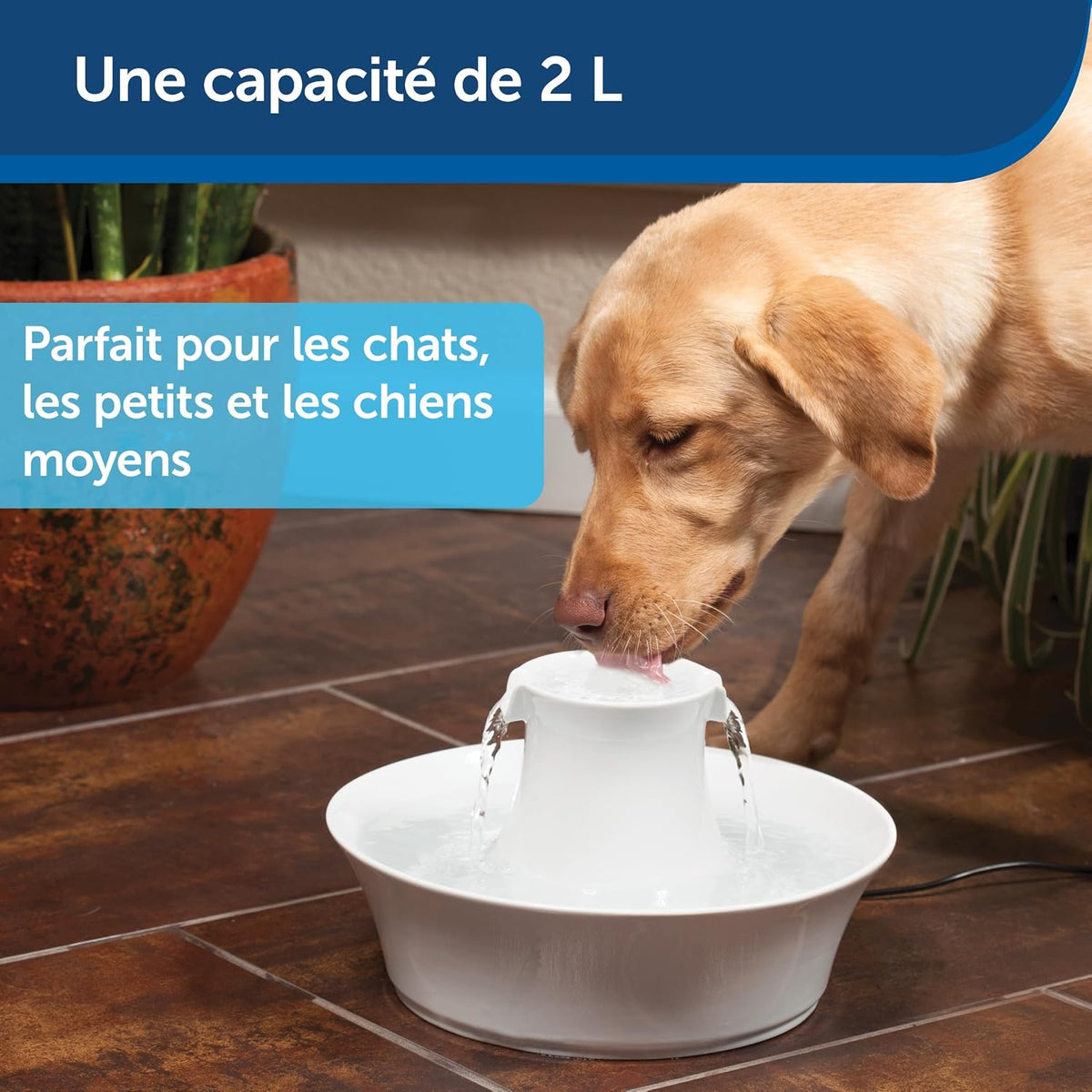 Drinkwell® Avalon Keramik-Trinkbrunnen 2 l für Hunde und Katzen