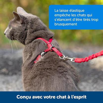 Imbracatura e guinzaglio Easy Walk® per gatti
