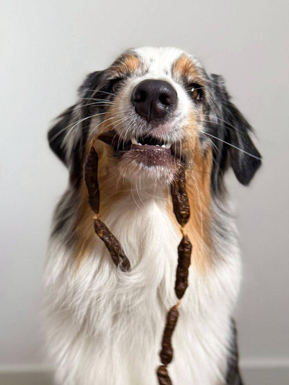Salsichas secas de peru para cães