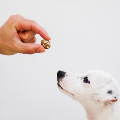 Cono de premios de cerdo y sardina para perros