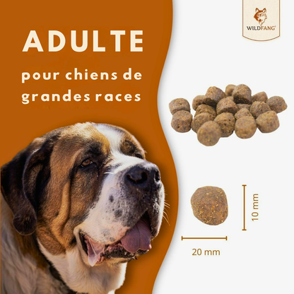 Croquetas de salmón y trucha para perros adultos