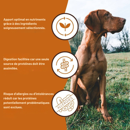 Paté 100 % vacuno de calidad BARF para perros adultos