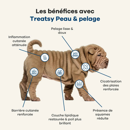 Complemento alimenticio para piel y pelaje con pollo para perros