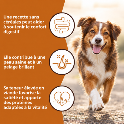 Hühnchen- und Süßkartoffel-Trockenfutter für ausgewachsene Hunde