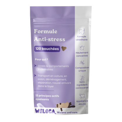 Suplemento alimentar anti-stress para gatos