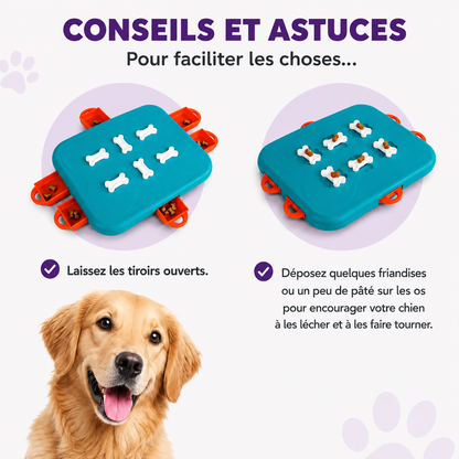 Juego de ingenio Dog Casino nivel 3 para perros