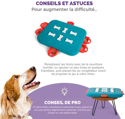 Juego de ingenio Dog Casino nivel 3 para perros
