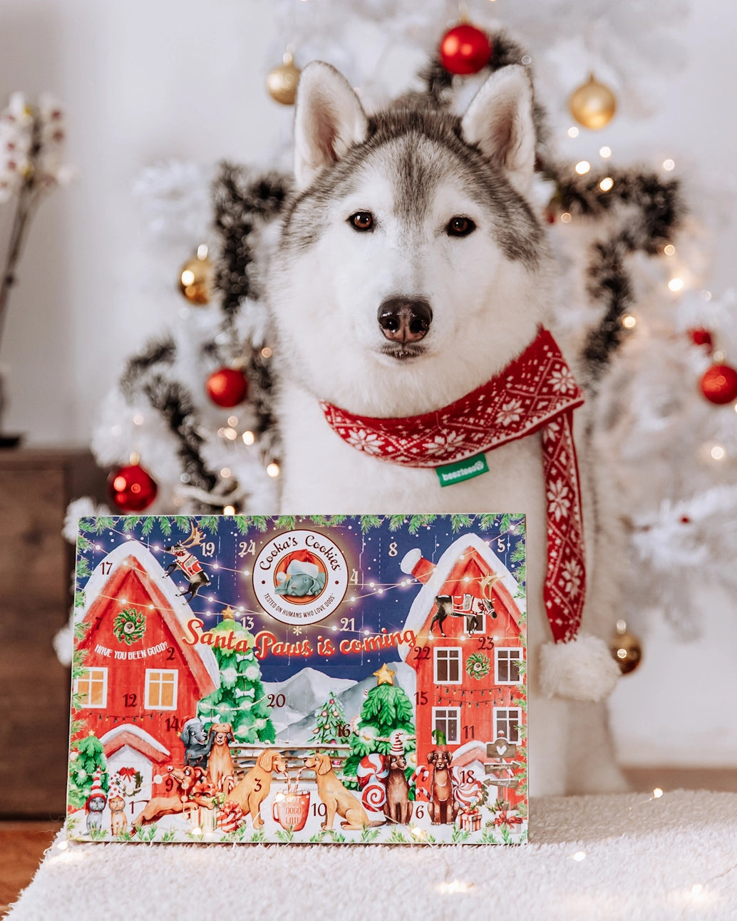 Calendrier de l’Avent 48 friandises pour chiens