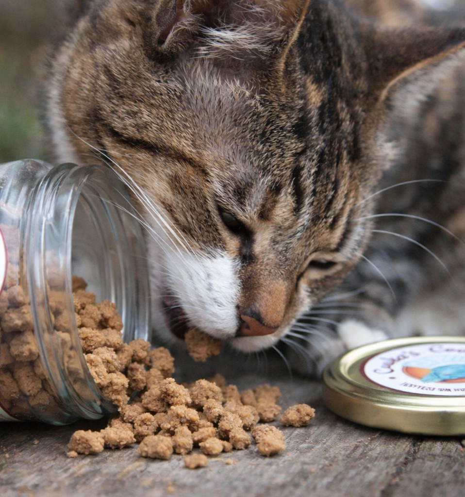 Crumble de pollo deshidratado para perros y gatos