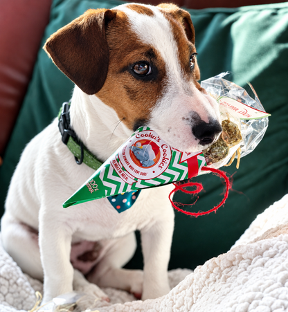 Festive cone of beef treats for dogs