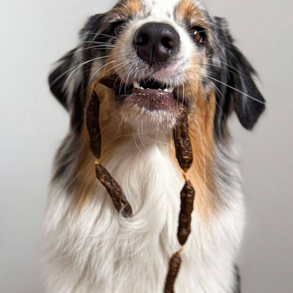 Salsicce di manzo essiccate per cani