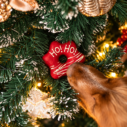 Weihnachtssternen-Donuts mit Ente und Truthahn für Hunde