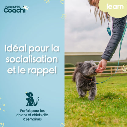 Trela comprida impermeável para cachorros e cães de porte pequeno