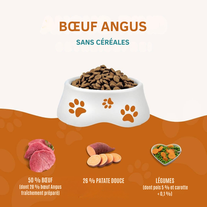 Crocchette al manzo Angus per cani adulti