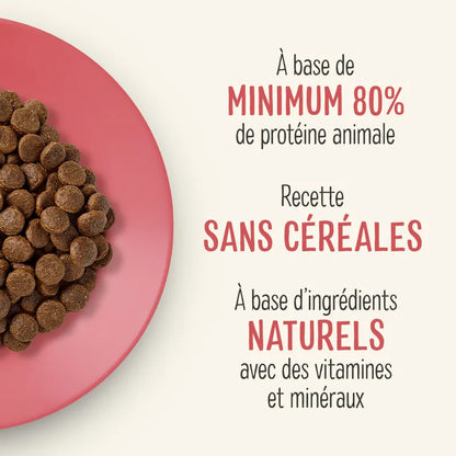 Chicken and duck kibble for adult cats