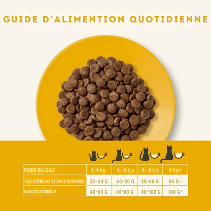 Ração de frango para gatos adultos