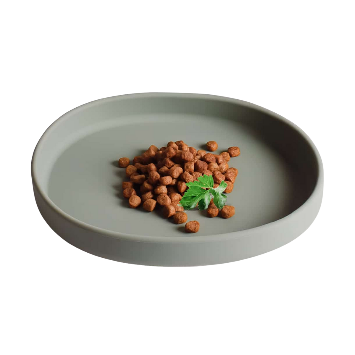 Gamelle plate en silicone