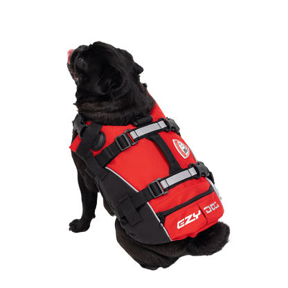 Chaleco salvavidas para perros