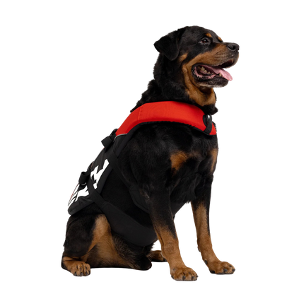 Chaleco salvavidas para perros