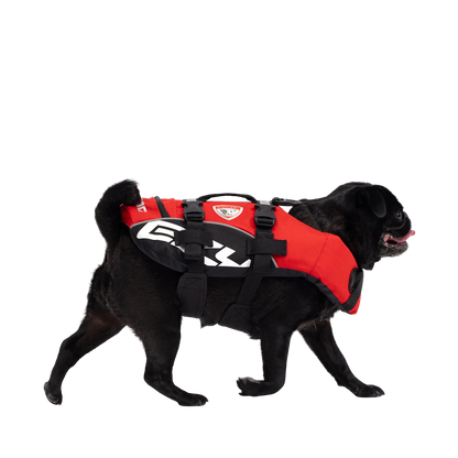Chaleco salvavidas para perros