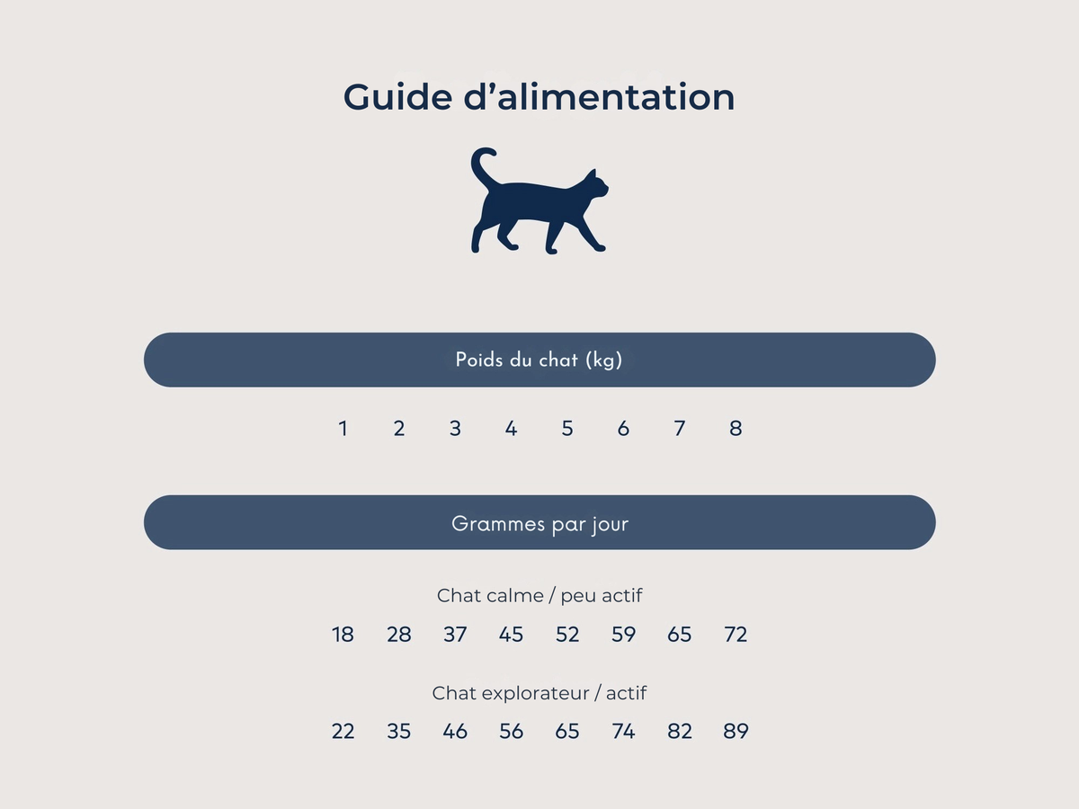 Southern beef & blue whiting cat kibble