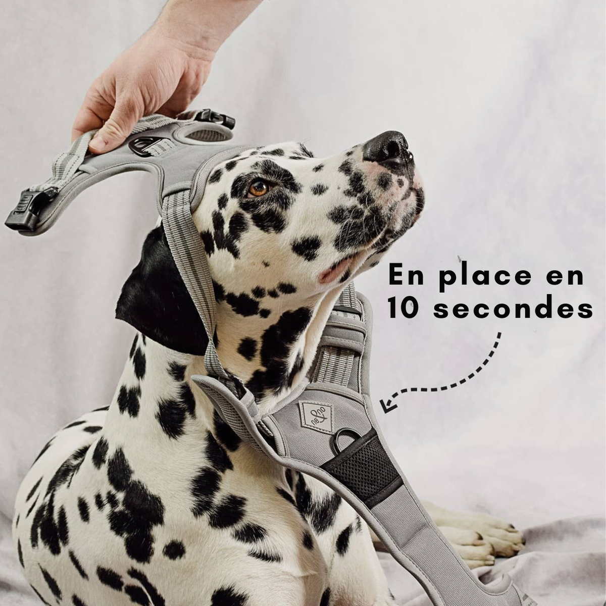 Reflective no-pull dog harness