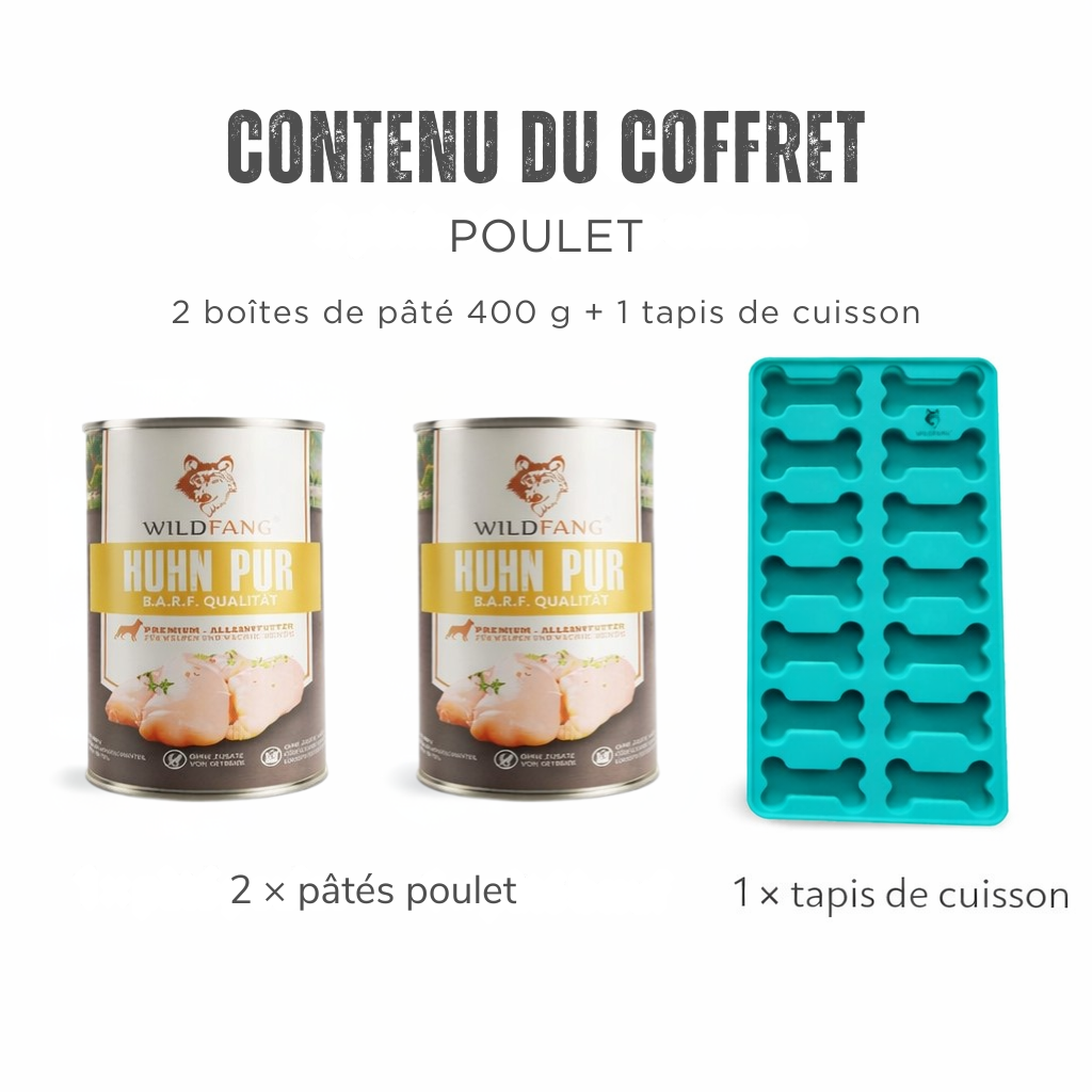Kit de cuisson de biscuits maison pour chiens
