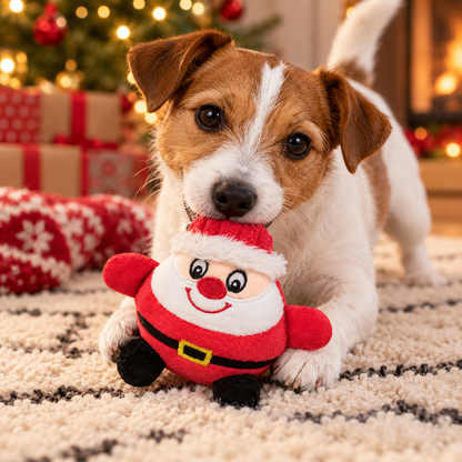 Peluche Babbo Natale con squeaker per cani