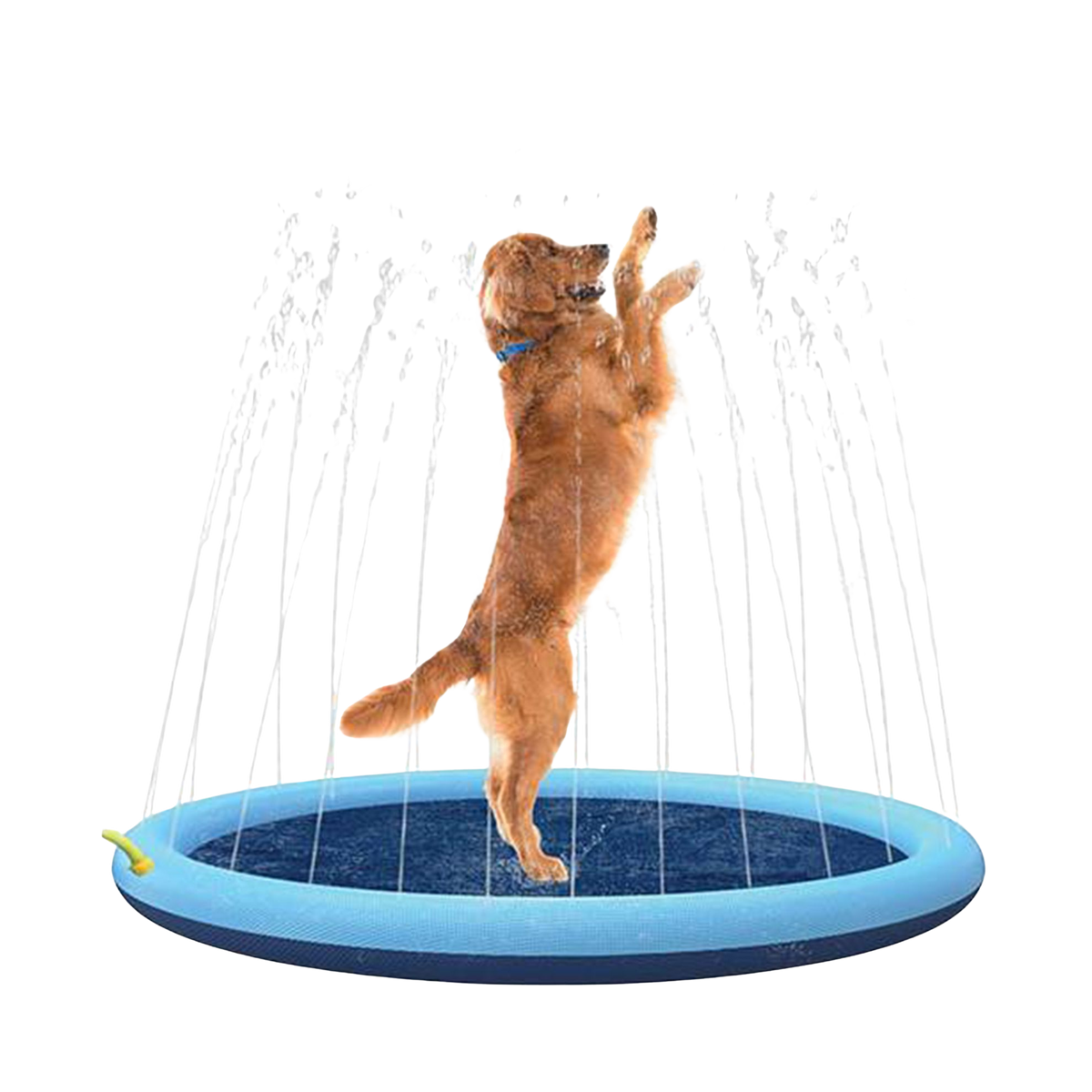Hundepool mit Wasserfontänen